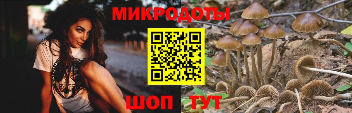 Галлюциногенные грибы прущие грибы Сыктывкар