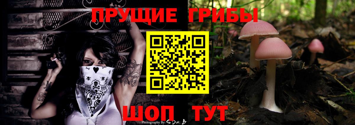 Псилоцибиновые грибы мухоморы  как найти наркотики  Сыктывкар  Вход с VPN  Галлюциногенные грибы Psilocybine cubensis 